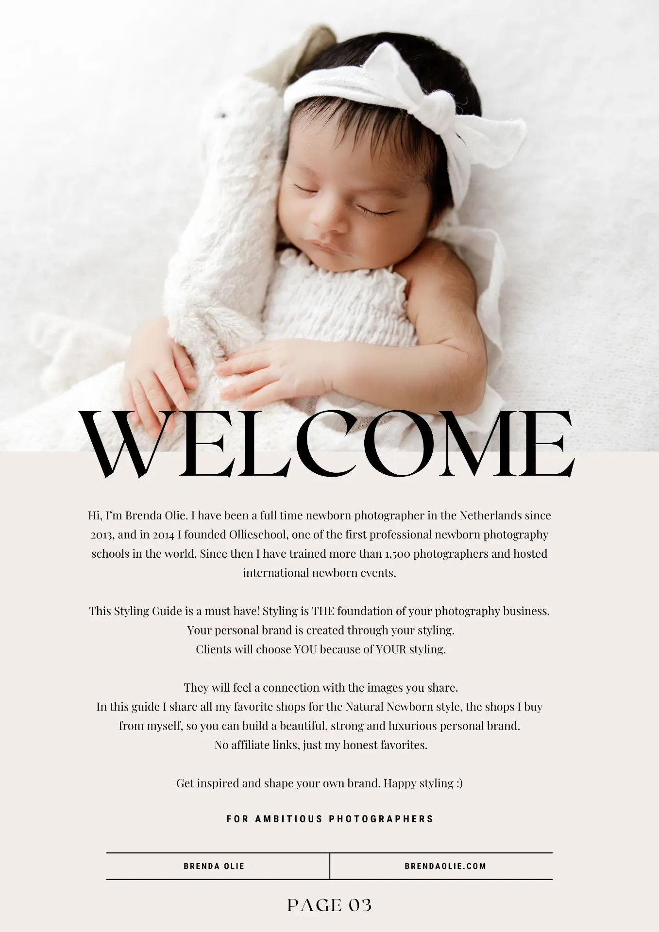 Welcome page of the styling guide