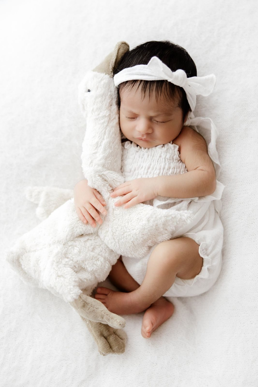 Sleeping newborn girl hugging a soft white goose
